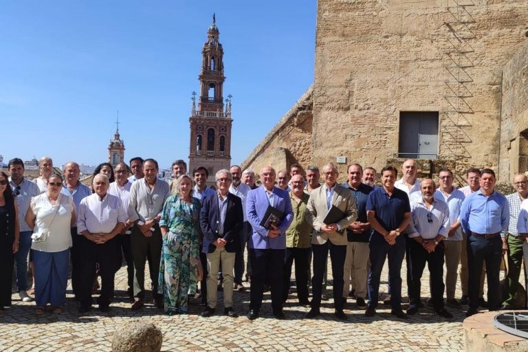 WhatsApp Image 2025-10-07 at 15.34.58 (1)